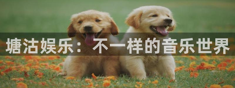 庄闲和游戏官网：塘沽娱乐：不一样的音乐世界