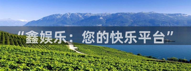 庄闲和游戏官网：“鑫娱乐：您的快乐平台”