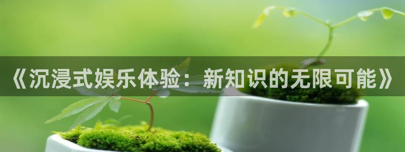 庄闲和游戏官网：《沉浸式娱乐体验：新知识的无限可能》