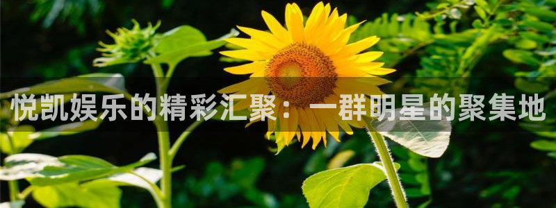 upload/20250701114914.jpg
