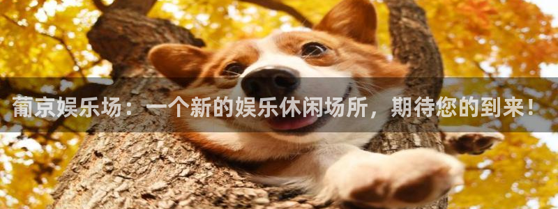 upload/20250701114914.jpg